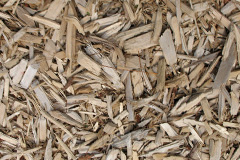 biomass boilers Grillis